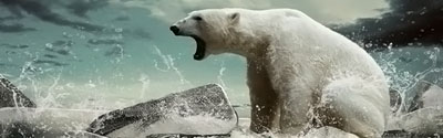 Экран д/ванной Престиж 1,5м "Белый медведь"  картинка